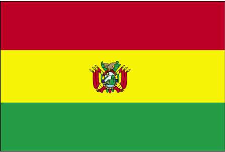 Bolivya Uluslararası Nakliyat
