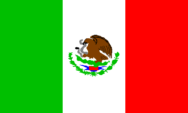 Meksika Uluslararası Nakliyat